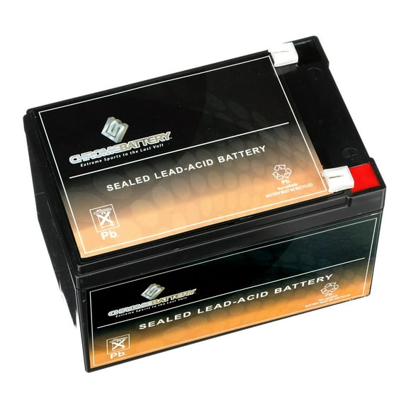 CB CHROMEBATTERY Batterie Sans Entretien 12V 15AH pour Systèmes d'Alarme, Trottinettes, Jouets, Lumières d'Urgence, et Plus - Terminal Pelle (F2)