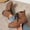 #011-Brown, variant on Womens Platform Boots Round Toe Flat Ankle Boots Punk Boots Lace Up&Zipper Combat Boots