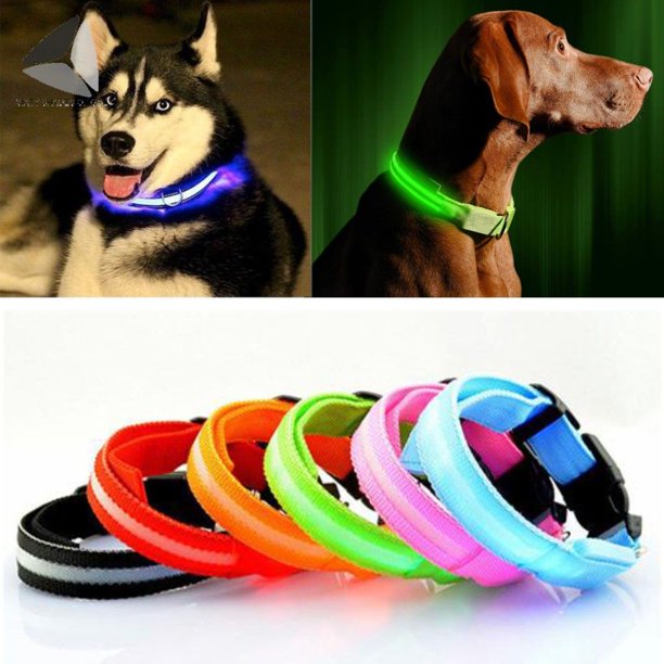Sixtyshades LED Dog Collar Safety USB Rechargeable Flashing Light Pet