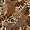 Dark Brown, variant on Manfei Glitter Leopard Print Twin Quilt Set, Old Fashion Abstract Twin Coverlet Set, Pink Black, Black Reversible, 2-Piece, 1 Bedspread and 1 Pillowcase