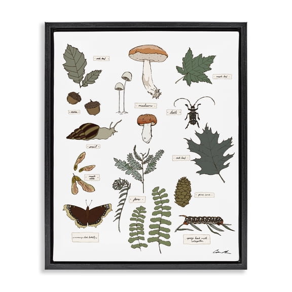 Stupell Industries Scandinavian Woodland Nature Studies Black Floating Frame Canvas Art, 17 x 21, by Sweet Melody Designs