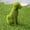 D, variant on Hohaski Decorative Dog Garden Statues, Funny Flocking Dog Decor for Outside Creatives Dog, Outdoor Statues Lawns Ornaments for Yard, Housewarming Garden Gift