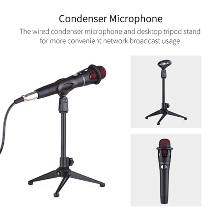 Riousery SK300 Live Sound Card Audio Mixer Voice Changer Kit Dual Mic Support Rechargeable Battery Black (11.02 inches / 28.0 cm)