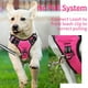 thumbnail image 5 of Arnés para perros HEELE sin tirones, reflectante, ajustable, rosa S, 5 of 5