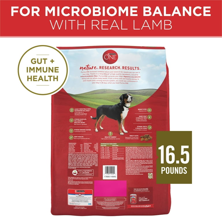 Purina one lamb and rice walmart best sale