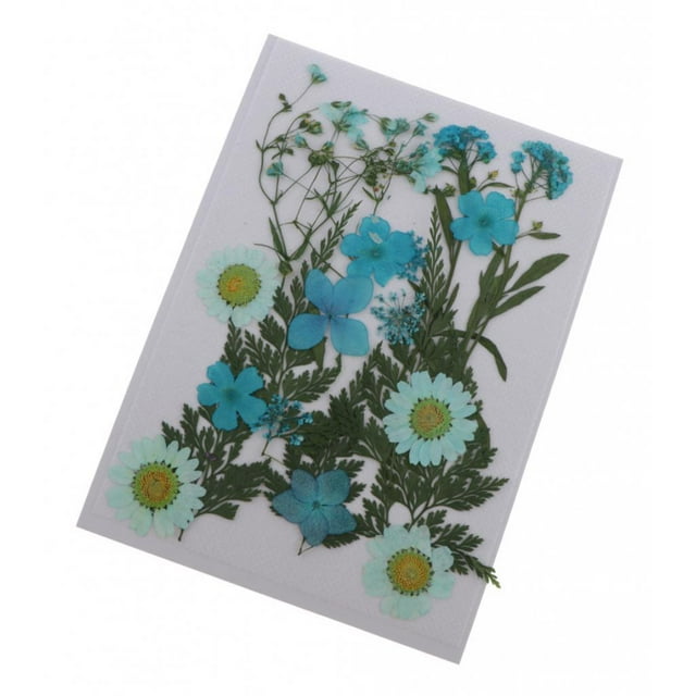 22x flores secas reales naturales Baoblaze tarjetas hechas a mano decorativo colgante 14x10cm azul