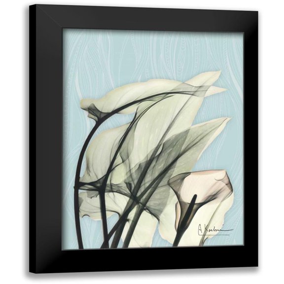 Koetsier, Albert 12x14 Black Modern Framed Museum Art Print Titled - Calla Lily Leaves