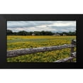 thumbnail image 2 of Highmith, Carol 18x12 Black Modern Framed Museum Art Print Titled - Vivid field of wildflowers in the Lyndon B. Johnson National Historical Park in Johnson City, TX, 2 of 5