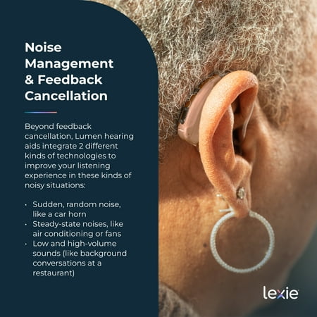 Lexie Hearing - Lexie Lumen self-fitting OTC hearing aids - Silver