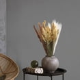thumbnail image 3 of 80 piezas Hierba de pampas seca 17 pulgadas Decoración de hierba de pampas Hierba de pampas Decoración Boho Flores secas de hierba de pampas alta, 3 of 5