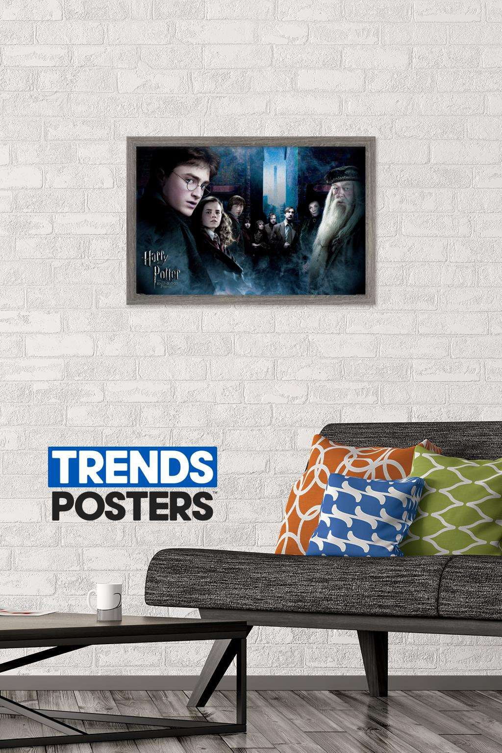 Harry Potter and the Half-Blood Prince - Fraternity Wall Poster, 14.725" x 22.375", Framed
