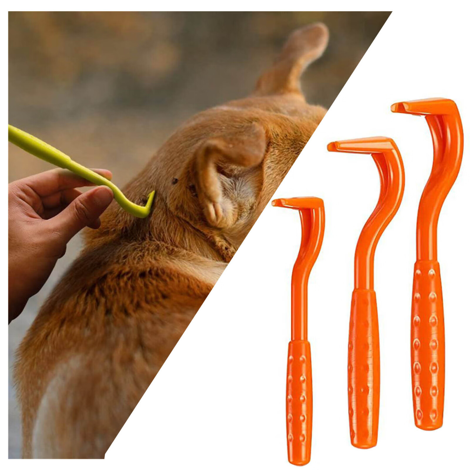 WTN Tick Removal Tool for Dogs Cats and Humans Removes Entire Head Body Pain Free Ticks Remove