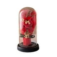 thumbnail image 4 of Valentines Day Gifts For Girlfriend & Wife, Girlfriend Presents,Cool Gifts To Get Your Girlfriend,Preserved Rose Night Light in Glass/ Dome,Valentine's Day Decorations, 4 of 4