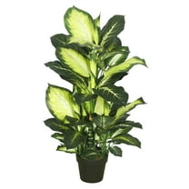 Vickerman 40" Artificial Green and White Dieffenbachia.