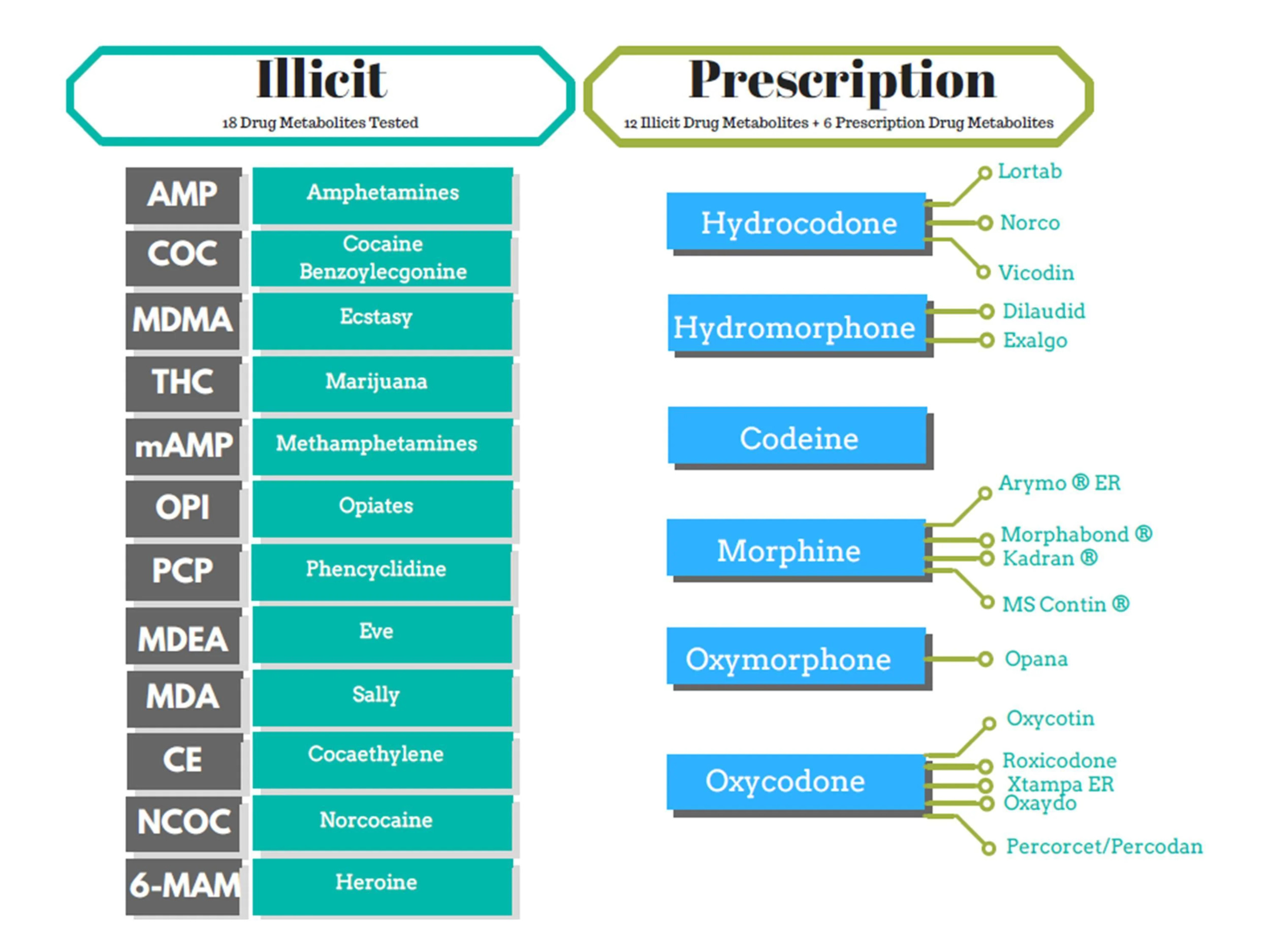 Phamatech Hair Follicle 18 Panel Drug Test for at Home Drug Testing - Shipping & Lab Fees Included