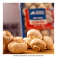 thumbnail image 3 of Champiñón entero Monte Blanco 225 g, 3 of 4