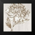 thumbnail image 2 of Watts, Eva 12x12 Black Modern Framed Museum Art Print Titled - Glorious Peony I, 2 of 5