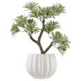 thumbnail image 1 of Bouclair Green Lotus in Ceramic Pot, 1 of 5
