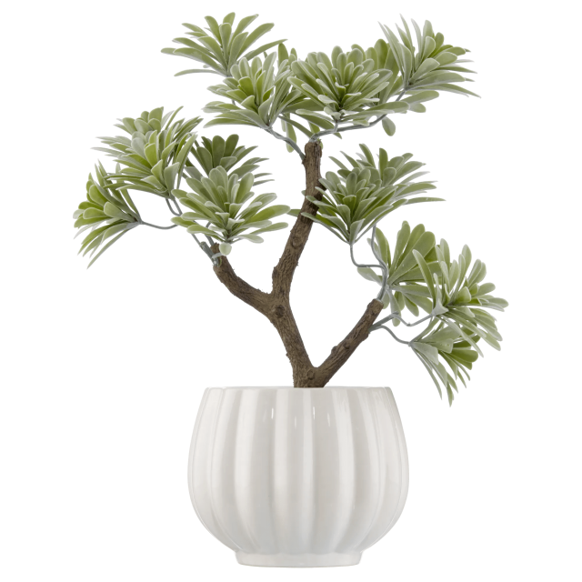 Bouclair Lotus Vert dans Pot en Céramique