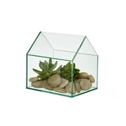 Design Ideas Farnsworth Glass Terrarium