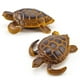 thumbnail image 4 of 12 Uds Mini juguetes marinos para niños figuras de animales marinos de plástico simulación de animales del océano modelo de decoración, 4 of 8