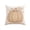 B002- B, variant on Halloween Decorations for Home, Rope Stitch Pumpkin Ghost Halloween Pillow Cover, 18X18 Inch Halloween Throw Pillow No Insert, Neutral Boho Pillow Cover for Fall and Halloween