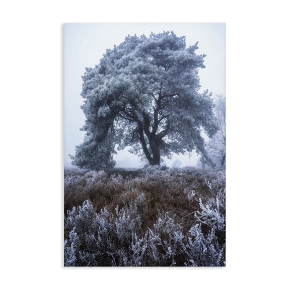 Stupell Industries Frosted Tree in Winter Mist Canvas Wall Art, design by Martin Podt