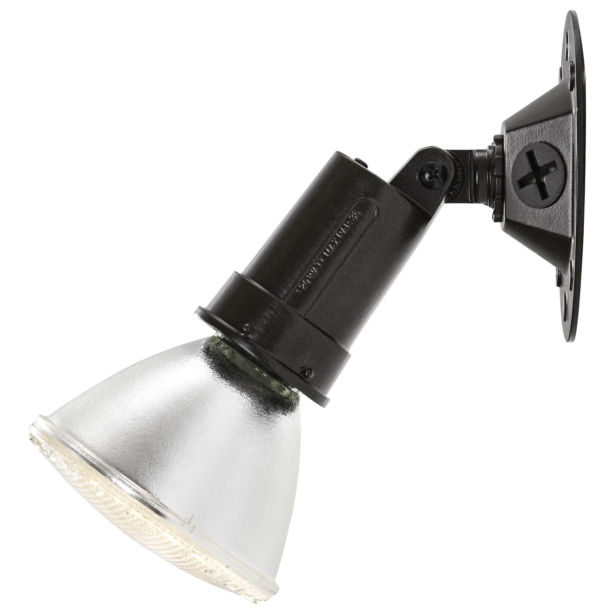 1 Light - 5" - Flood Light, Exterior - PAR38 w/Adjustable Swivel