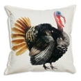thumbnail image 1 of Watercolor Turkey Cotton Throw Pillow, 1 of 1