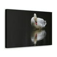 thumbnail image 2 of Canvas Gallery Wraps Unframed, 2 of 7