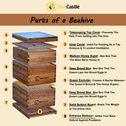 Bee Castle 10-Frame Beeswaxed Complete Bee Hives Kit with 2 Deep Box and 1 Medium Box