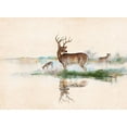 thumbnail image 2 of Manning, Ruane 24x19 White Modern Wood Framed Museum Art Print Titled - Misty Deer, 2 of 4