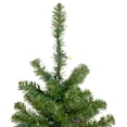 thumbnail image 3 of Northlight 1.5 FT Pre-Lit Medium Canadian Pine Artificial Christmas Tree - Multicolor Lights, 3 of 7