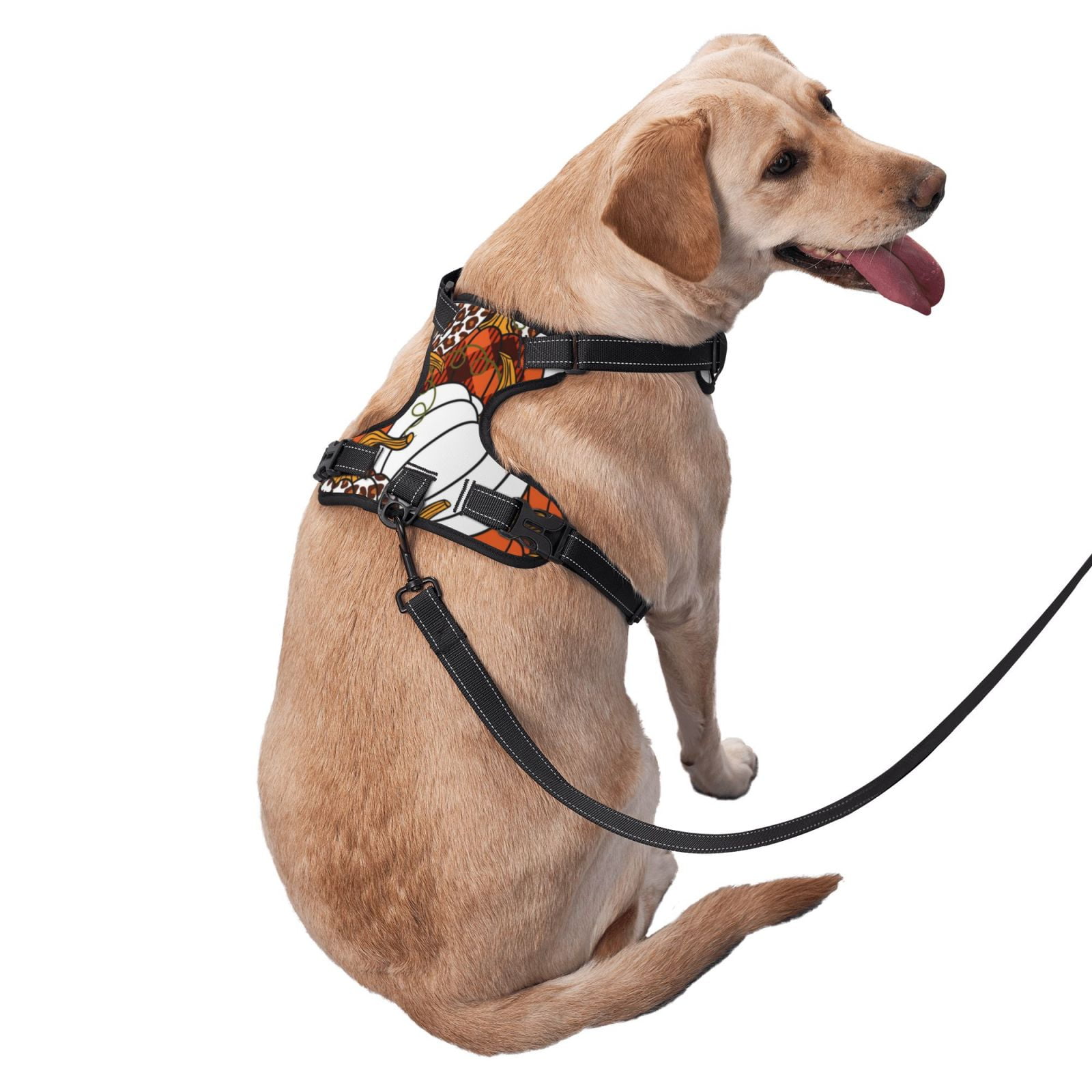 Vsdgher Various Pumpkins Pattern Dog Harness,No Pull Pet Harness with Soft Padded Handle,Adjustable Reflective Vest with 2 Buckles,4 Slide Buckles,S-XL Small