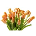 thumbnail image 3 of KaBloom : Bouquet of Fresh 20 Orange Tulips, Next-Day Delivery, Gift for all occasions, 3 of 6