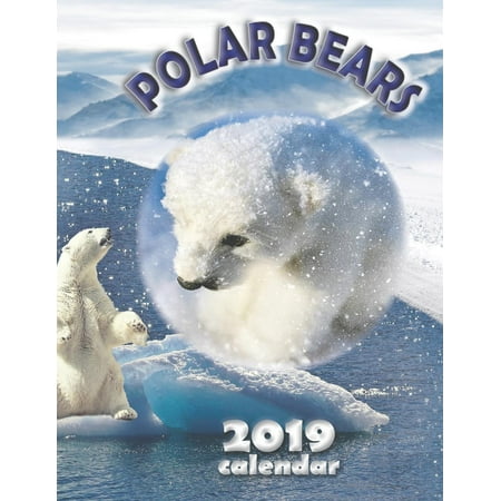Polar Bears 2019 Calendar (Paperback) (Best Fiction Paperbacks 2019)