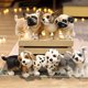 thumbnail image 1 of Gwong Juguete Perro peluche juguete alto simulación fuerte flexibilidad lavable niños regalos pug bulldog husky dalmatian peluche muñecas para dormitorio Gwong 30011514, 1 of 6