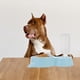 thumbnail image 3 of 1 unid mascota bebiendo cuenco perro cuenco alimentador perro gato alimento alimento contenedor de agua, 3 of 6