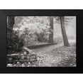 thumbnail image 2 of Geyman, Vitaly 24x19 Black Modern Framed Museum Art Print Titled - Autumn Paradise IV BandW, 2 of 5