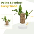 thumbnail image 5 of Brazilian Lucky Wood Ornament with Base and Mystery Doll ，& Home Office Decoration, Unique Gift for Good Luck”, 5 of 8