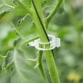 thumbnail image 4 of Heavy Duty Green Plant Support Clips for Stems and Vines, Adjustable Garden Flower Holder and Fastener for Climbing Plants, Durable Plastic Plant Ties for Greenhouse and Outdoor Gardening, 4 of 6
