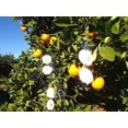 thumbnail image 2 of Juego de cinco discos mejorados para ahuyentar pájaros: reflectores de pájaros de doble cara altamente reflectantes, mejores dispositivos para ahuyentar a todos los pájaros, como el pájaro c, 2 of 5