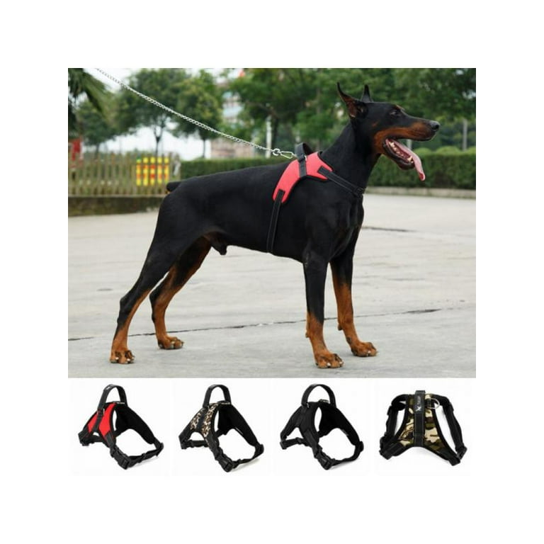 Dog 2025 training clothes