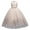 Champagne, variant on IBTOM CASTLE Flower Girl Lace Dress for Kids Wedding Bridesmaid Pageant Party Formal Long Maxi Gown Princess Communion Tulle Bow Dresses 6-7 Years Champagne