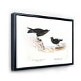 thumbnail image 3 of Designart 'Ancient Bird Of Europe III' Traditional Framed Canvas Wall Art Print, 3 of 5