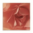 thumbnail image 2 of Gango Home Decor Contemporary Coral Rose Close-Up I by Monika Burkhart (Printed on Paper); One 16x16in Fine Art Paper Giclee Print, 2 of 4