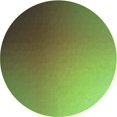 thumbnail image 1 of Ahgly Company Machine Washable Indoor Round Transitional Antique Bronze Green Area Rugs, 5' Round, 1 of 7