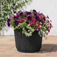 thumbnail image 1 of Jardinière en Résine Cappriccio Better Homes & Gardens 16 pouces, Noir, 1 of 5