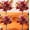 D, variant on 4PCS Halloween Pumpkin Flower Artificial Bouquet Decor, 11" Party Favor Gifts for Porch Balcony, Halloween Desk Table Centerpiece Decor, Halloween Family Gathering Party Supplies