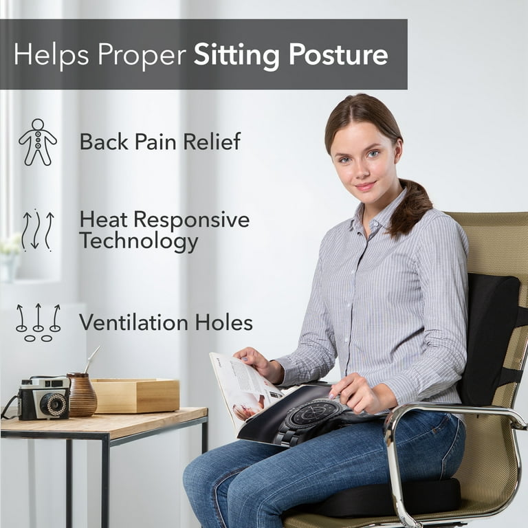 Everlasting Comfort The Original Lumbar Support Pillow - Improves Posture,  Promotes Back Pain Relief - Superior Office Chair Back Support for Gaming